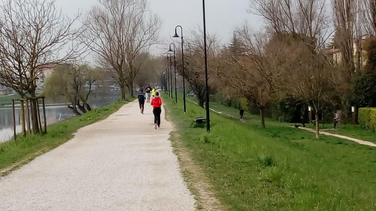 Vicino Al Prato Della Valle Intero Appartamento Parcheggio Facile Di Fronte Padua Buitenkant foto